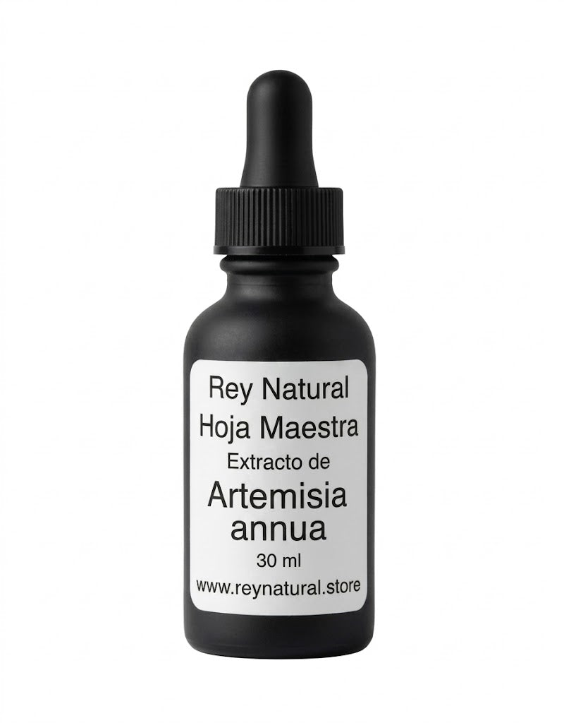 Extracto Orgánico ✨ de Planta Hoja Maestra