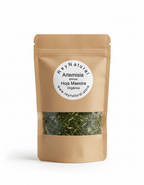 Artemisia annua ✨ Corte de Hoja Orgánica
